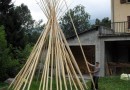 dave-and-poles