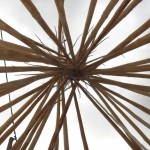 looking-up