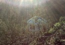 sunburst yurt