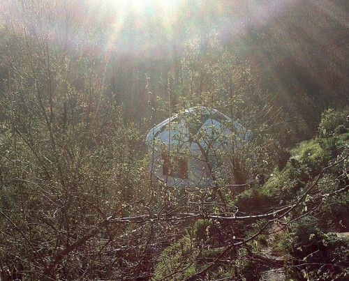 sunburst yurt