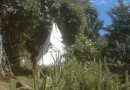 tipi-in-garden