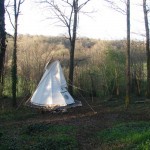 tipi in springtime