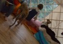 yourte-interior-as-home