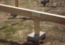 jointing_on_legs