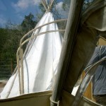 Through the big lodge window